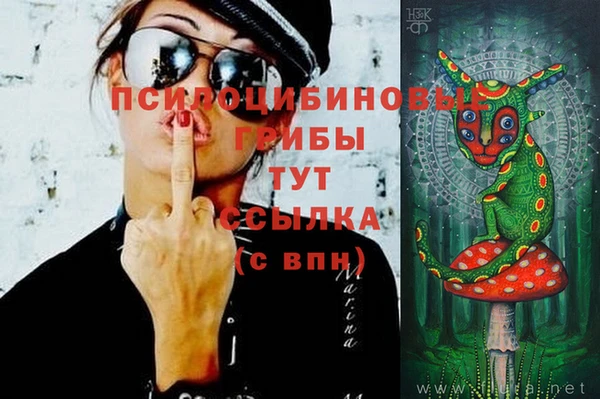 кокаин перу Алексин