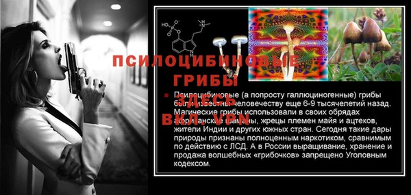 мяу мяу мука Алзамай