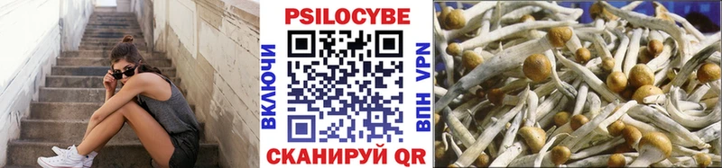 Галлюциногенные грибы MAGIC MUSHROOMS  Богучар 