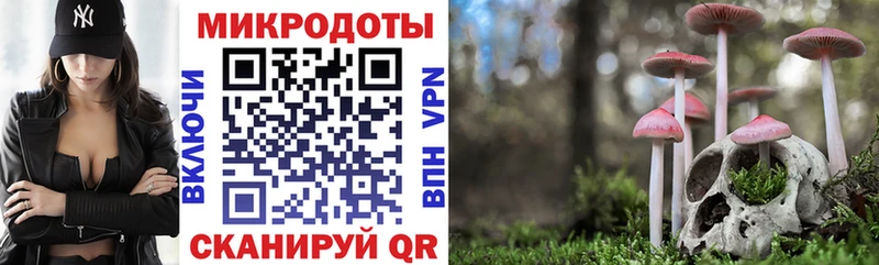 Галлюциногенные грибы GOLDEN TEACHER Богучар